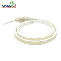Đèn led dây 5050 8W Kingled, sáng hơn, bền hơn, 2 màu Vàng - Trắng. Chip led Samsung và dây bọc kín cho ánh sáng tốt hơn và tuổi thọ cao vượt trội.