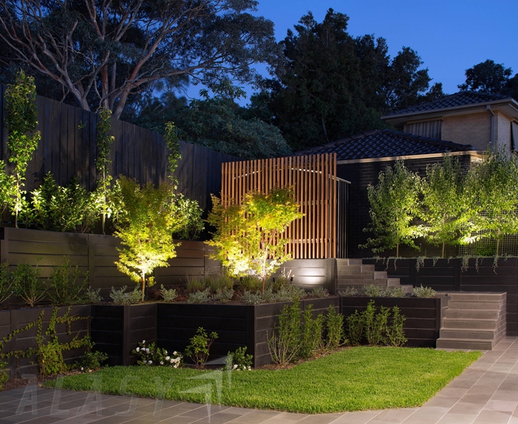 Đèn hắt cây nhỏ