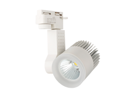 ĐÈN RỌI RAY 30W DTL-30 (VỎ TRẮNG)