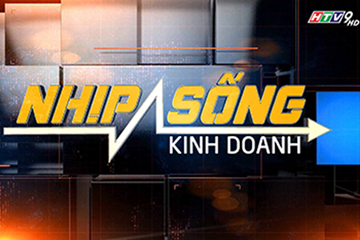 KINGLED - [HTV9] Chương Trình Nhịp Sống Kinh Doanh