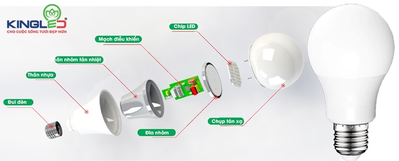 Cấu tạo chi tiết bóng bulb Kingled