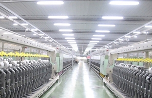 So sánh đèn tuýp led và đèn tuýp (huỳnh quang) truyền thống