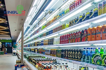 Đặc điểm các mẫu đèn led T8 60cm Kingled chất lượng