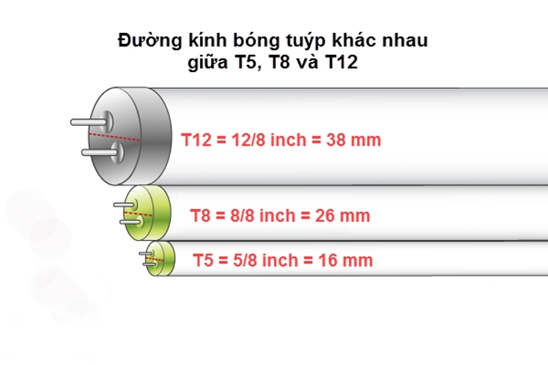 phân biệt đèn tuýp led T8 và đèn tuýp led T5