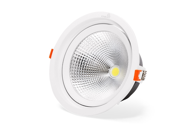 ĐÈN LED SPOTLIGHT TRÒN 30W (DLR-30-T180)