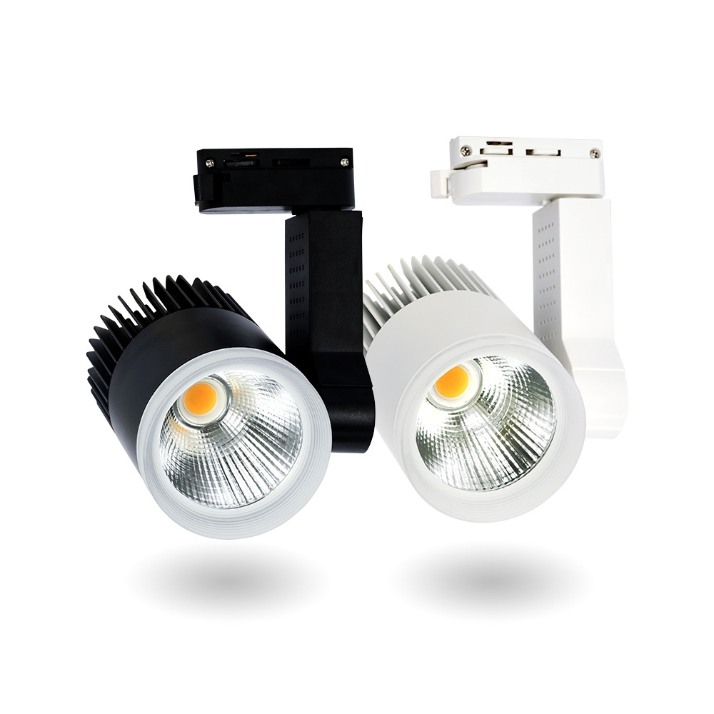 Đèn led rọi ray Beryl