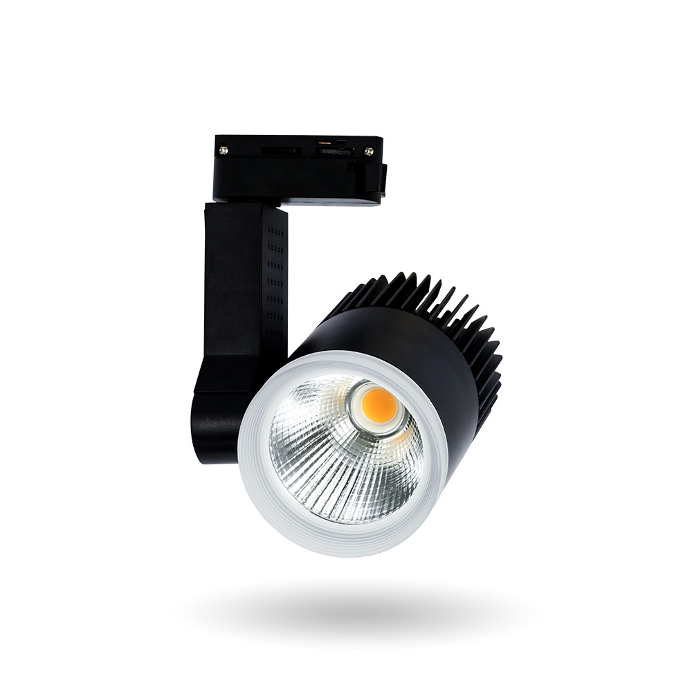 Đèn led rọi ray Beryl
