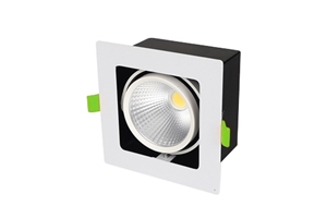 ĐÈN LED SPOTLIGHT ĐƠN 10W (GL -1*10-V)