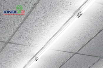 Có nên mua đèn tuýp led T8 1m2 22W không?