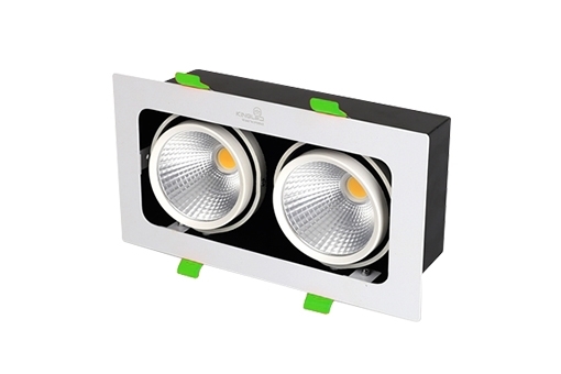 ĐÈN LED SPOTLIGHT ĐÔI 20W (GL -2*10-V)