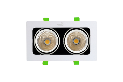 ĐÈN LED SPOTLIGHT ĐÔI 20W (GL -2*10-V)