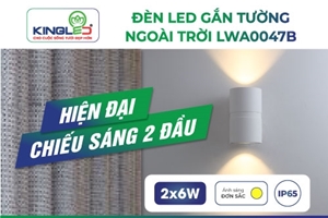 ĐÈN GẮN TƯỜNG NGOÀI TRỜI HÌNH ỐNG TRỤ HIỆN ĐẠI HẮT SÁNG 2 ĐẦU LWA0047B 