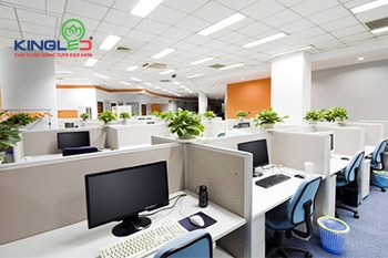 Có nên lắp đặt đèn tuýp âm trần cho văn phòng làm việc?