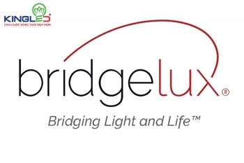 TOP 5 chip LED Bridgelux được sử dụng nhiều nhất trên thế giới