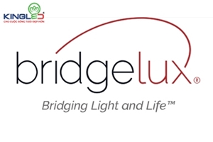 TOP 5 chip LED Bridgelux được sử dụng nhiều nhất trên thế giới