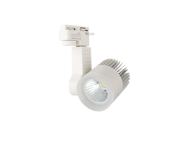 ĐÈN RỌI RAY 20W DTL-20 (VỎ TRẮNG)