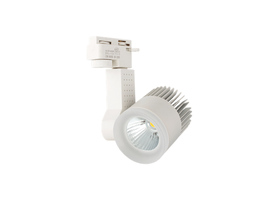 ĐÈN RỌI RAY BERYL 20W DTL-20 (VỎ TRẮNG)