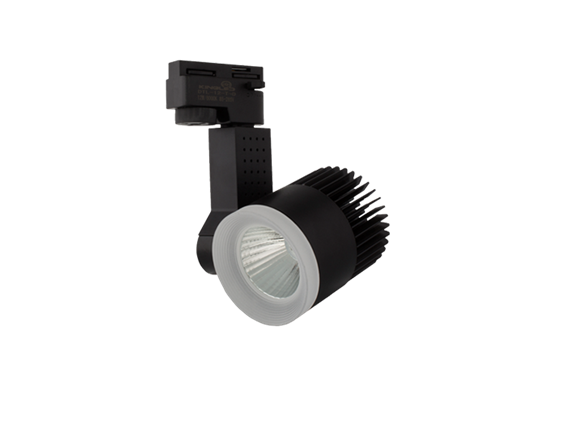 ĐÈN RỌI RAY BERYL 20W VỎ ĐEN (DTL-20)