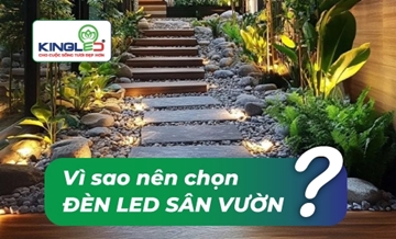 Vì sao nên chọn đèn LED sân vườn? So sánh & giải pháp tối ưu