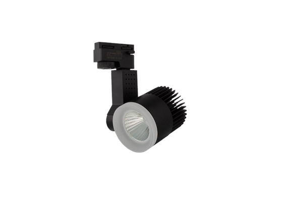ĐÈN RỌI RAY BERYL 12W VỎ ĐEN (DTL-12)