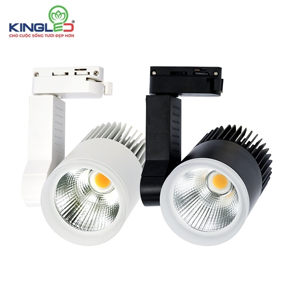 Đèn Rọi Ray 20W Beryl (DTL-20SS Series)