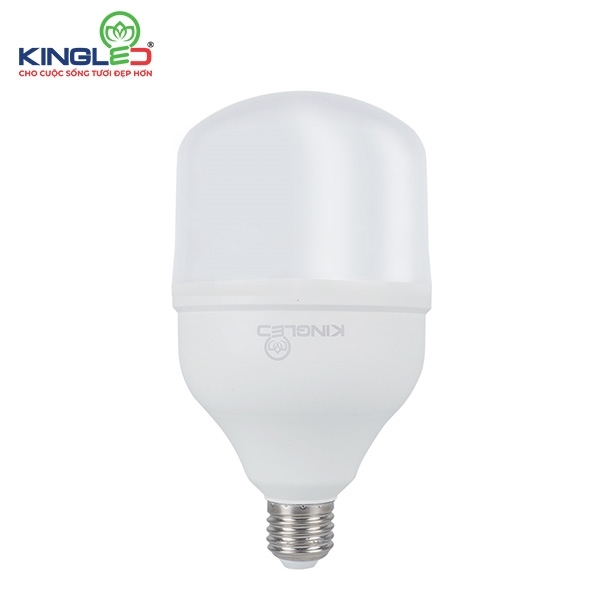 ĐÈN LED BULB DOB 30W (DOB-LB-30-T5)