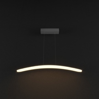 ĐÈN THẢ LED (PL016)