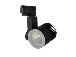 ĐÈN RỌI RAY 30W VỎ ĐEN (DTL-30)
