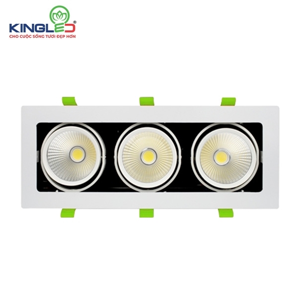 ĐÈN LED SPOTLIGHT HỘP 30W (GL -3*10SS-V)
