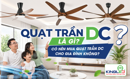 Quạt Trần DC Là Gì? Có Nên Mua Quạt Trần DC Cho Gia Đình Không?